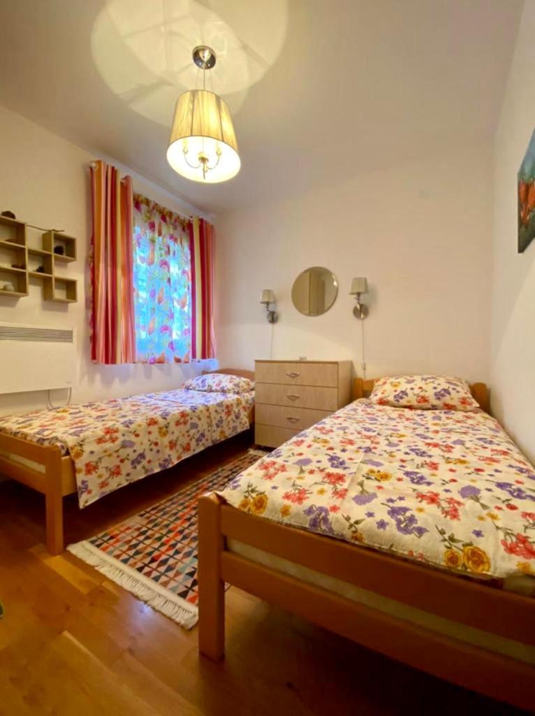 Apartment Liza Petrovac Kültér fotó