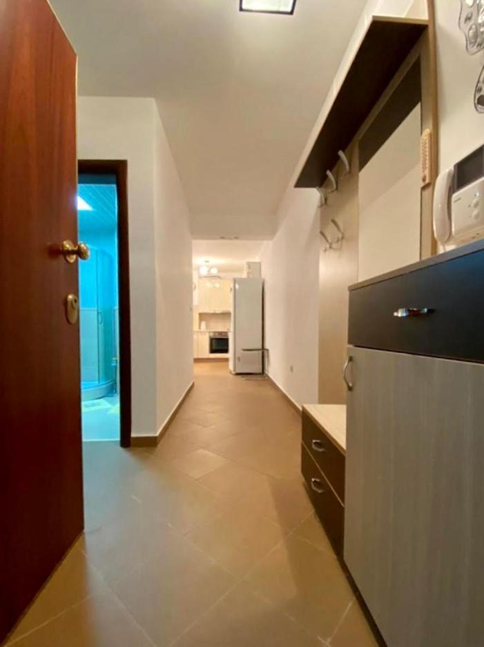 Apartment Liza Petrovac Kültér fotó