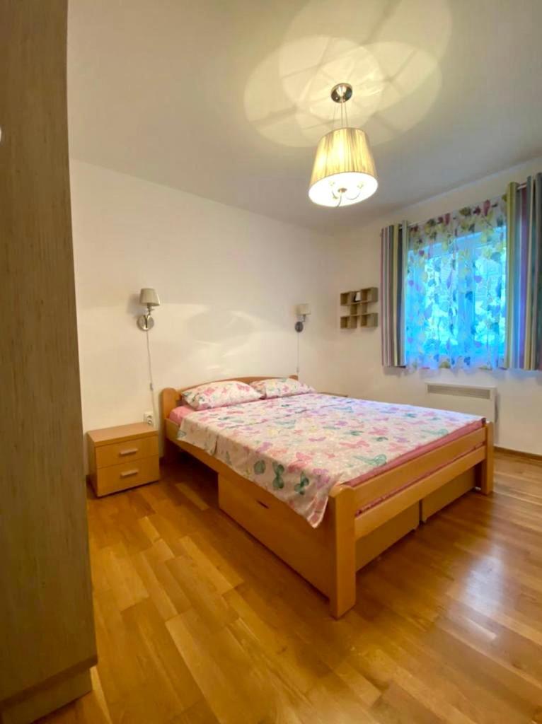 Apartment Liza Petrovac Kültér fotó