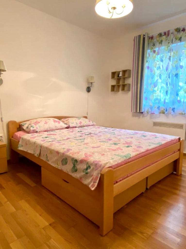 Apartment Liza Petrovac Kültér fotó